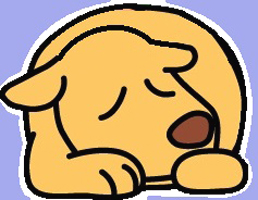 犬の病気